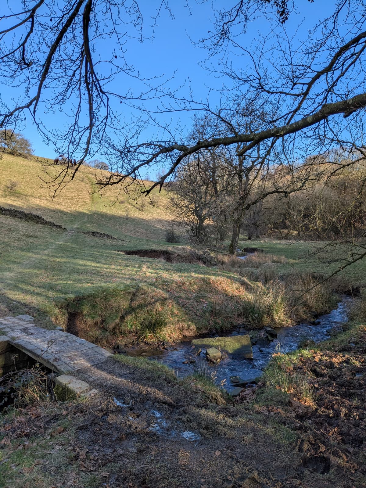 Image of Bradford Beck with a small stone bridge across it. The image shows a blue sky and a green field