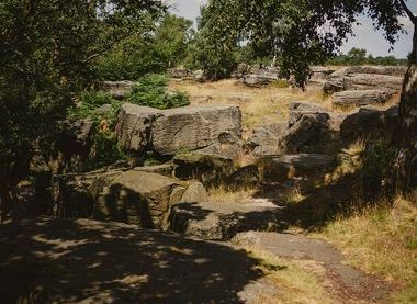 Image of a glen with rocks, surrounded by trees on a sunny day